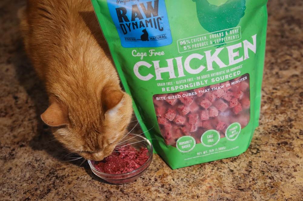 Raw Dynamic Pets Cage Free Chicken Fresh Frozen Cat Food