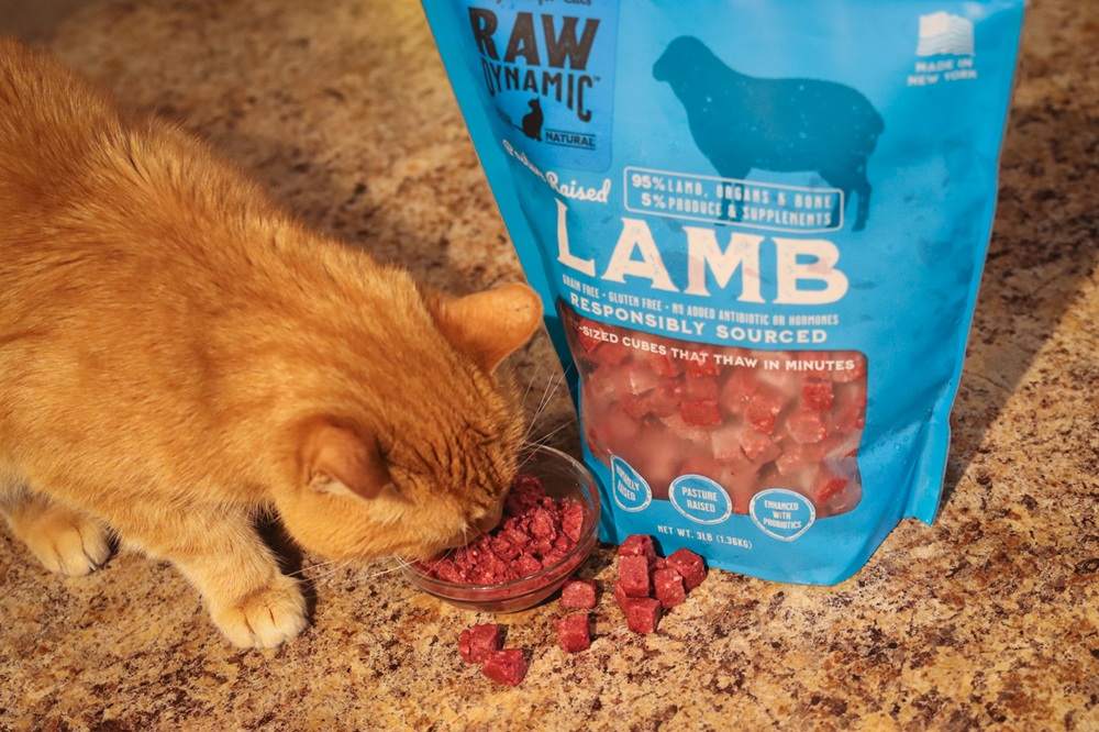 Raw Dynamic Pets Pasture Raised Lamb Fresh Frozen Cat Food