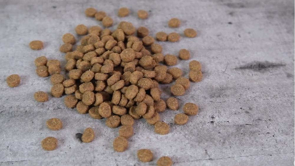 Taste of the Wild Rocky Mountain Grain-Free Dry Cat Food