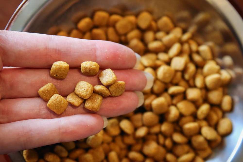 Royal Canin Feline Urinary Care Adult Dry Kibble Cat Food