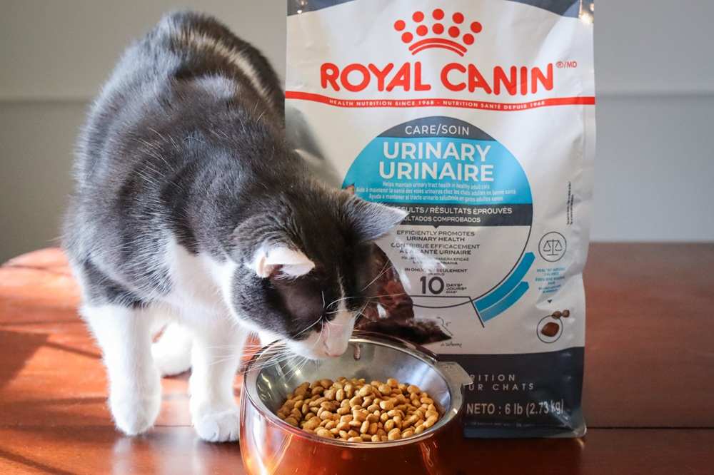 Royal Canin Feline Urinary Care Adult Dry Kibble Cat Food