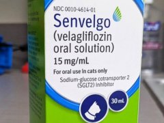Senvelgo for Cats