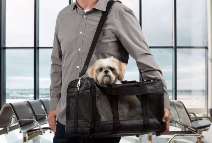 Sherpa Original Deluxe Airline-Approved Dog & Cat Carrier Bag