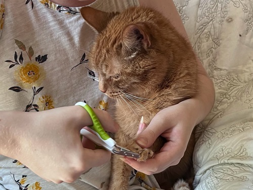 SHINY PET Nail Clippers for Small Animals