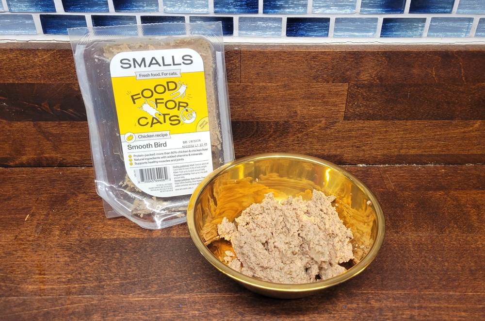 Small Fresh Smooth Bird