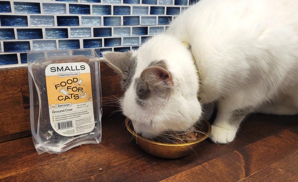 Smalls Fresh Ground Cow