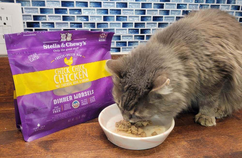Stella & Chewy’s Chick Chick Chicken Dinner Morsels