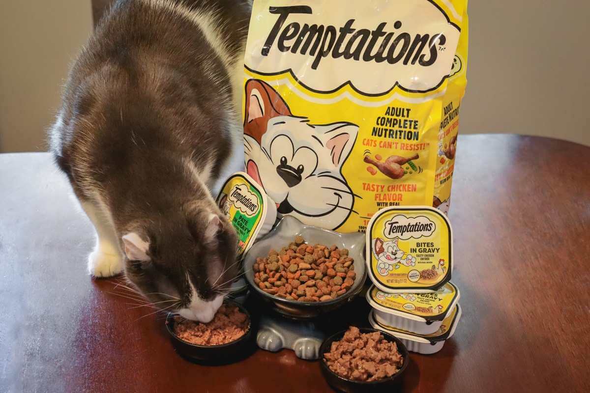 Temptations Cat Food featured images
