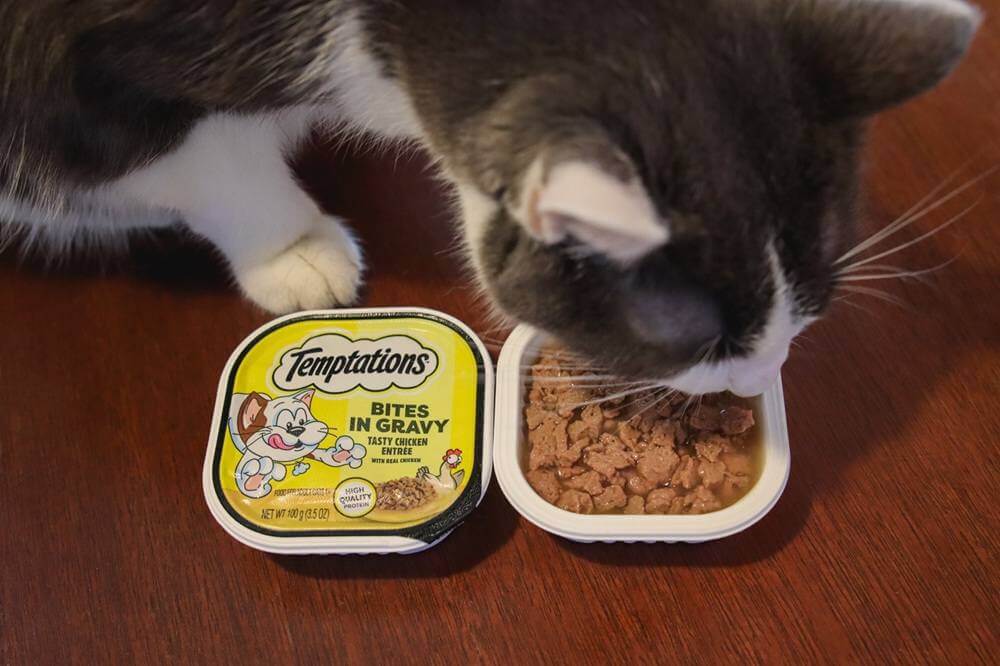 Temptations Tasty Chicken Flavor Bites in Gravy