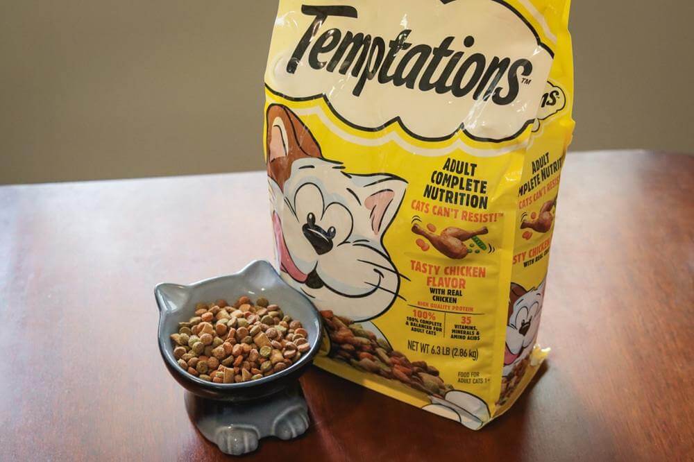Temptations Tasty Chicken Flavor Dry Cat Food