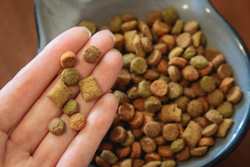 Temptations Tasty Chicken Flavor Dry Cat Food