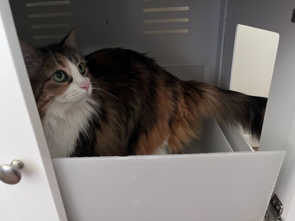 The Refined Feline Deluxe Cat Litter Box