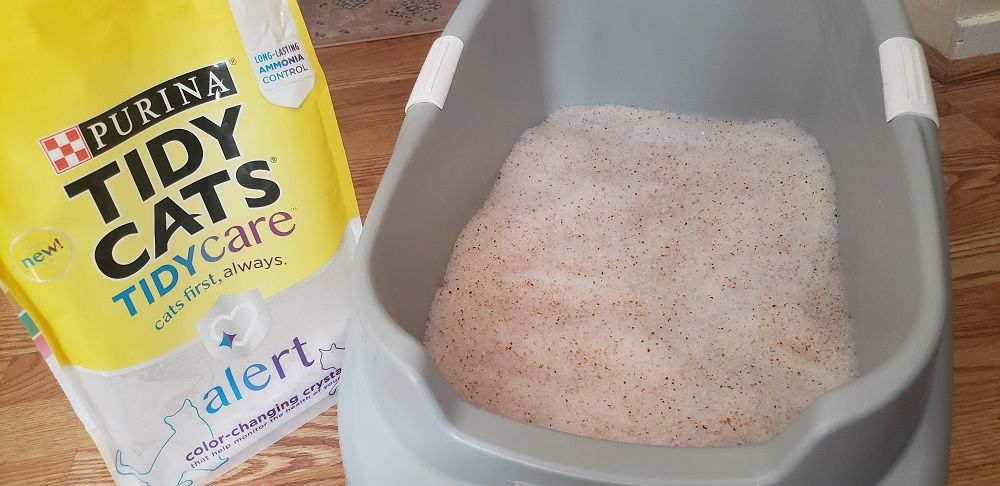 Tidy Cats Tidy Care Alert