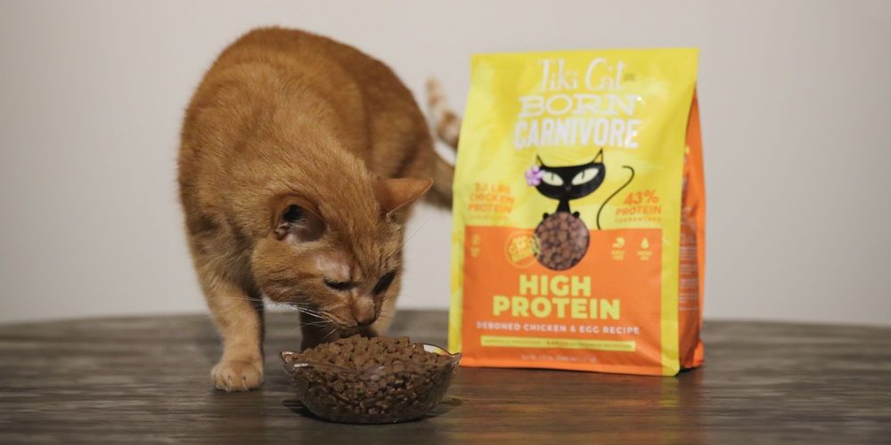 Tiki Cat Born Carnivore Chicken & Egg Grain-Free Dry Cat Food
