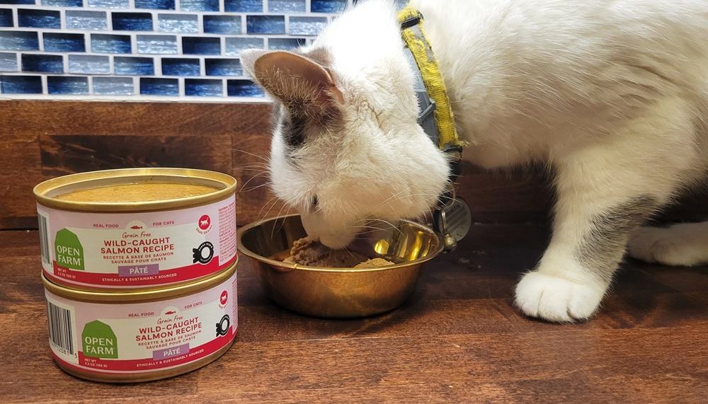 Wild-Caught Salmon Recipe Pâté-compressed