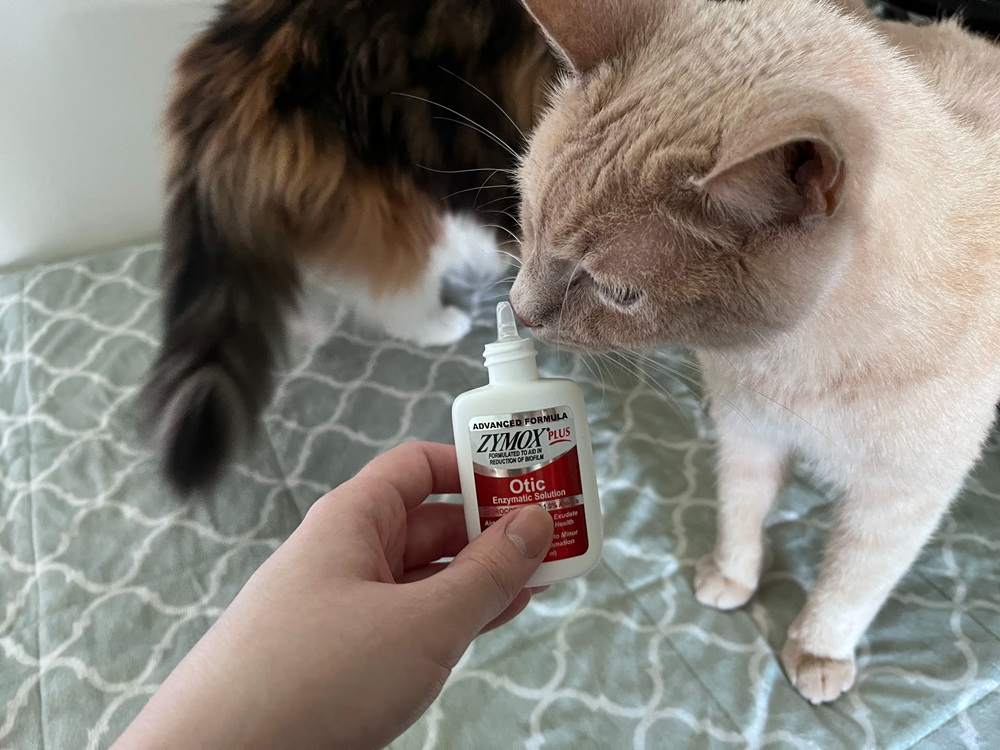 Zymox Otic Pet Ear Treatment with Hydrocortisone